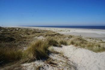 View of the beach and the dunes